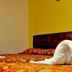 Bilik Tidur