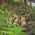 Pemandangan luar