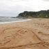 Pantai