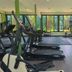 Gim