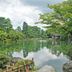 Pemandangan luar