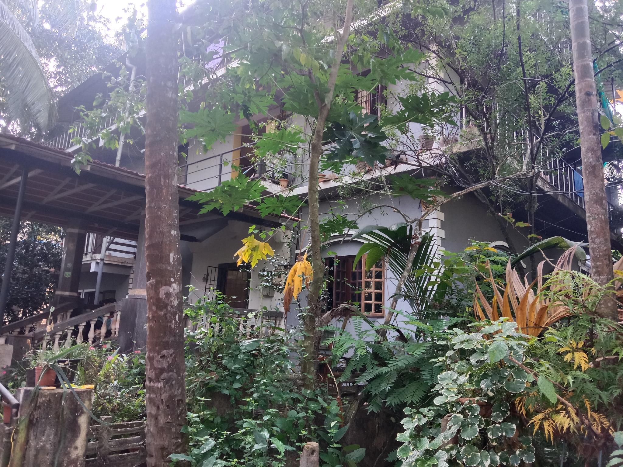Pemandangan luar