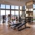 Gim