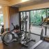 Gim