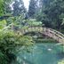 Pemandangan luar