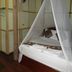 Bilik Tidur