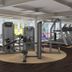 Gim