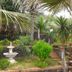 Pemandangan luar