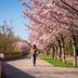 Pemandangan luar