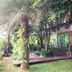 Pemandangan luar