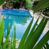 Kolam renang