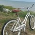 Lain-lain