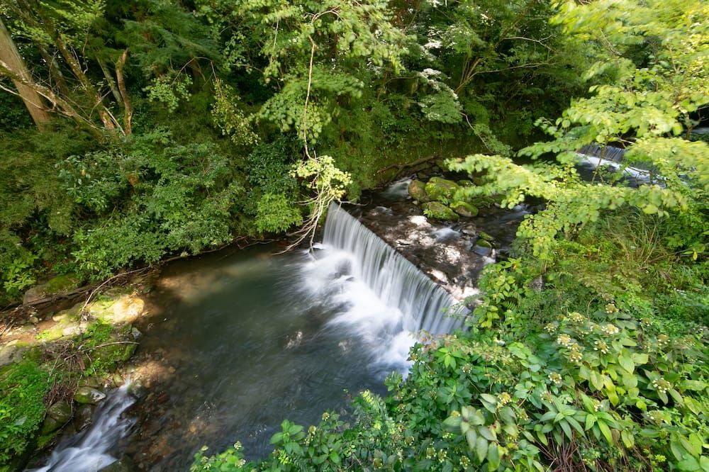 Pemandangan luar