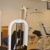 Gim