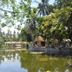Pemandangan luar