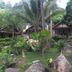 Pemandangan luar