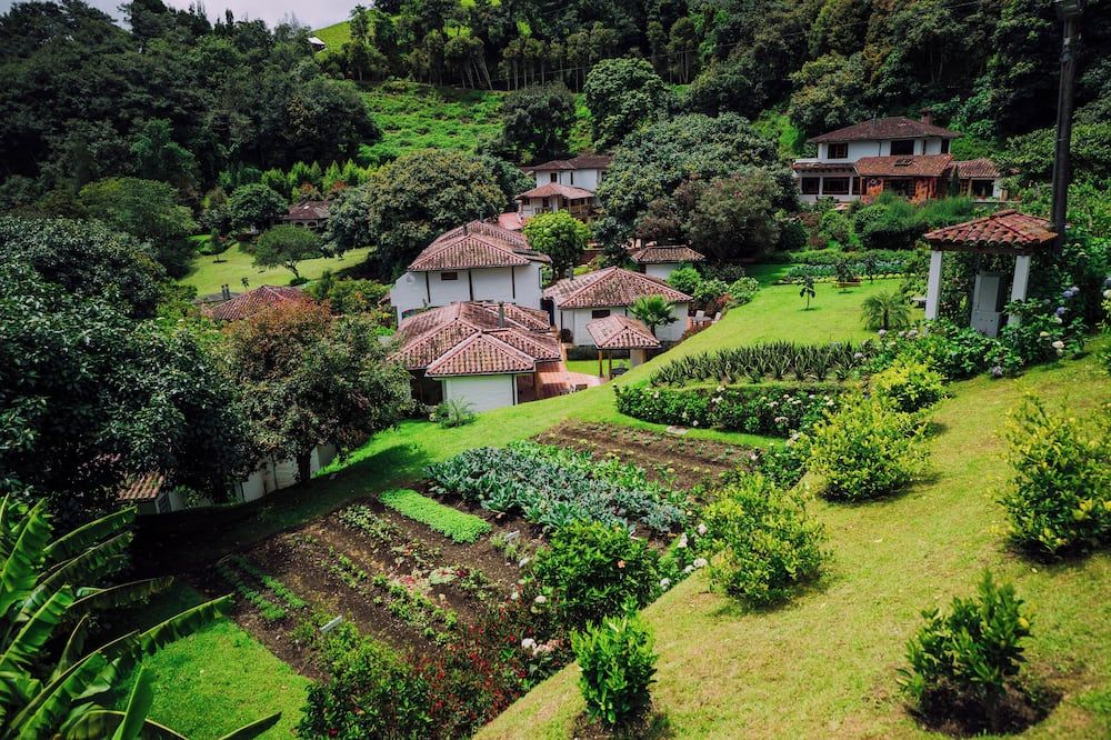Pemandangan luar