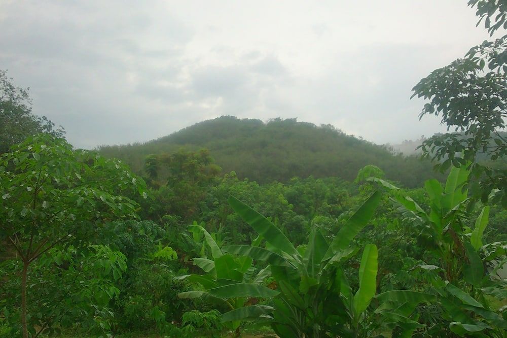 Pemandangan luar