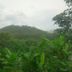 Pemandangan luar