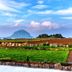Pemandangan luar