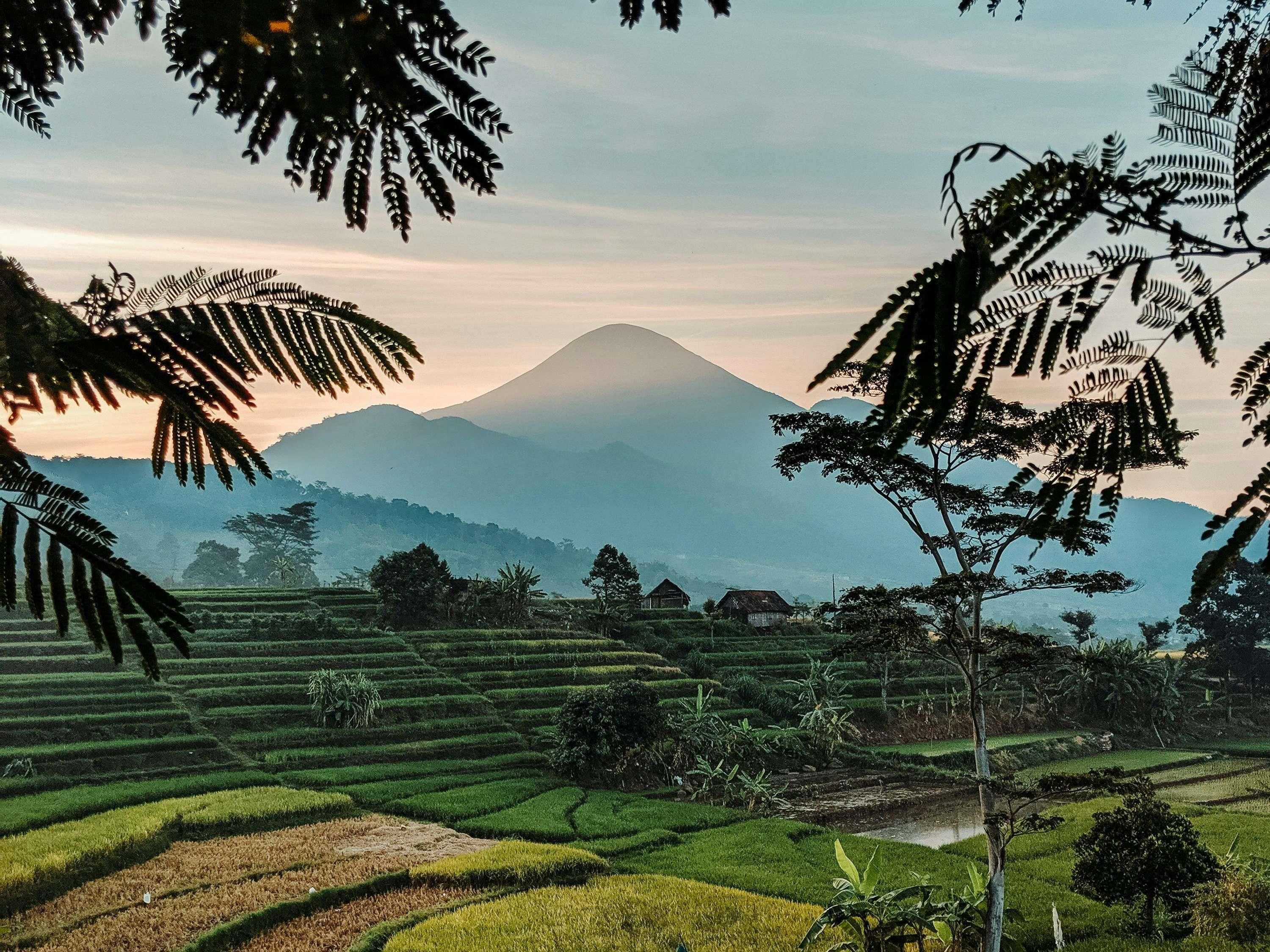 Pemandangan luar