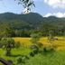Pemandangan luar