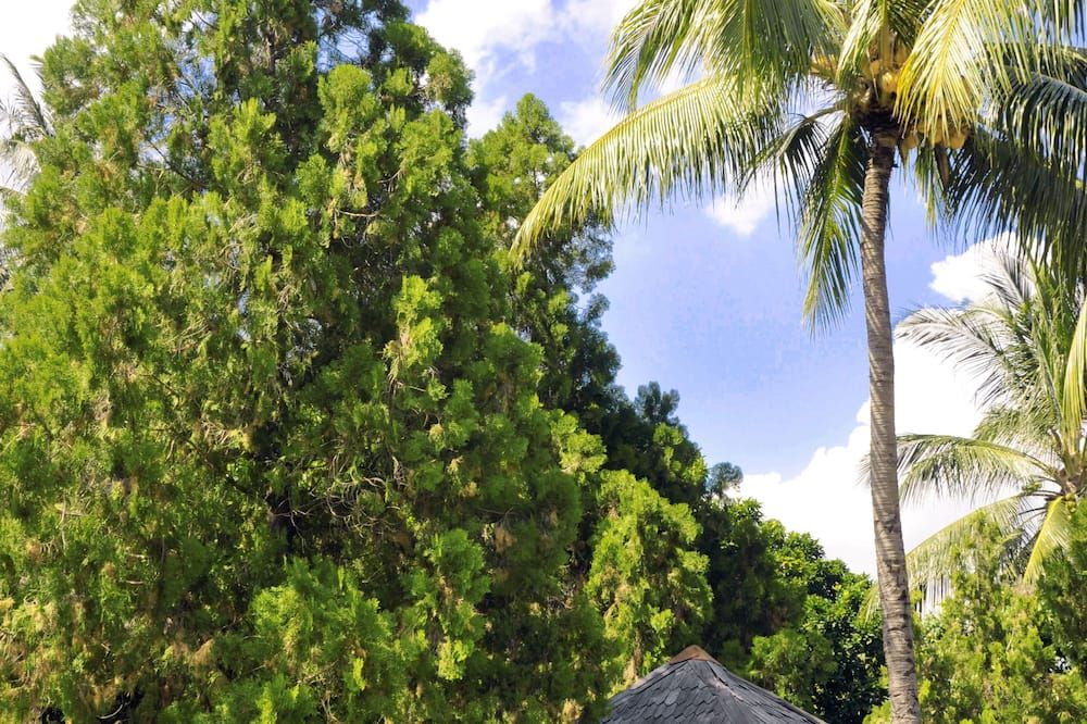 Pemandangan luar