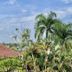 Pemandangan luar