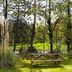 Lain-lain