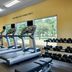 Gim