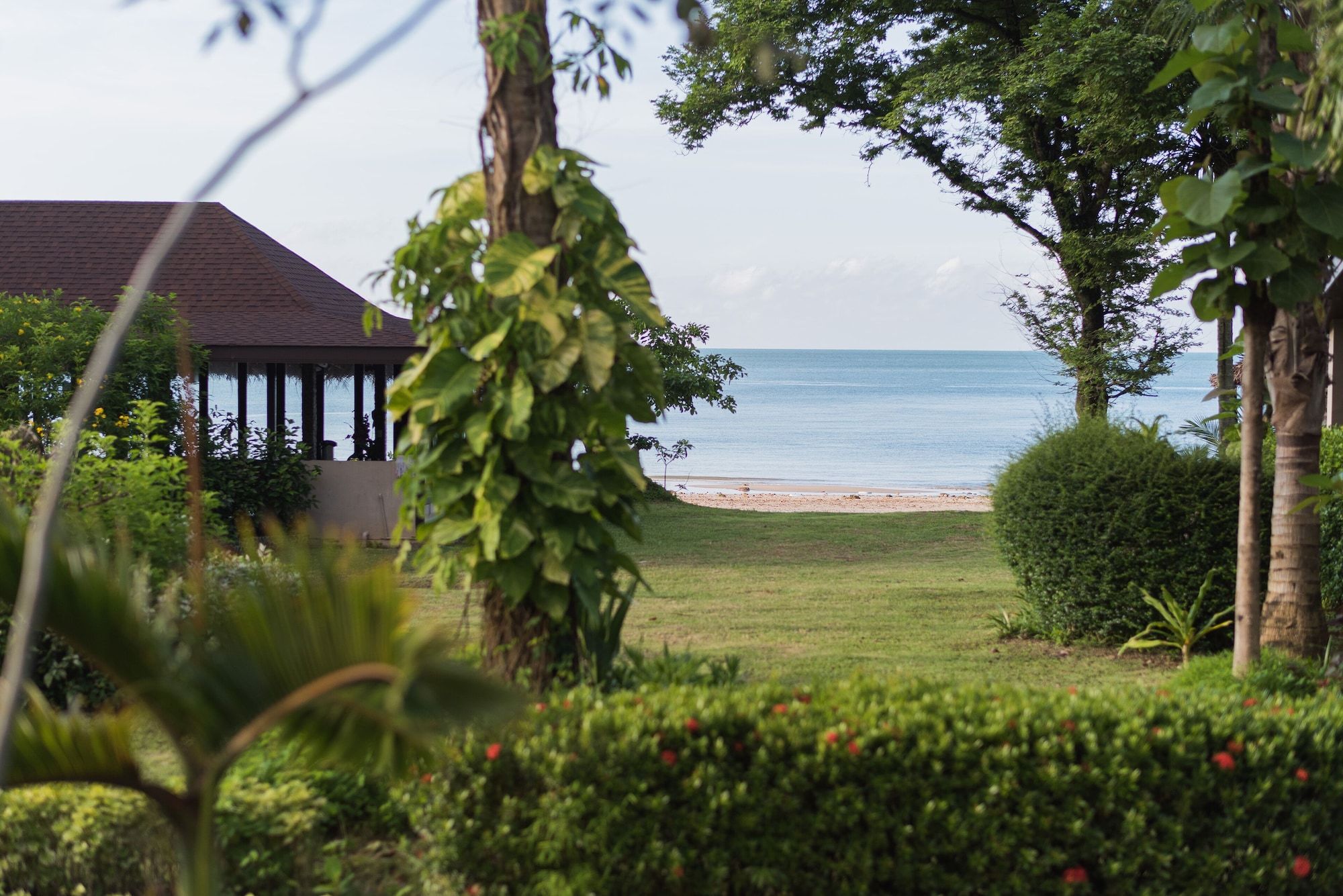 Pemandangan luar