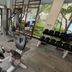 Gim