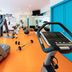 Gim