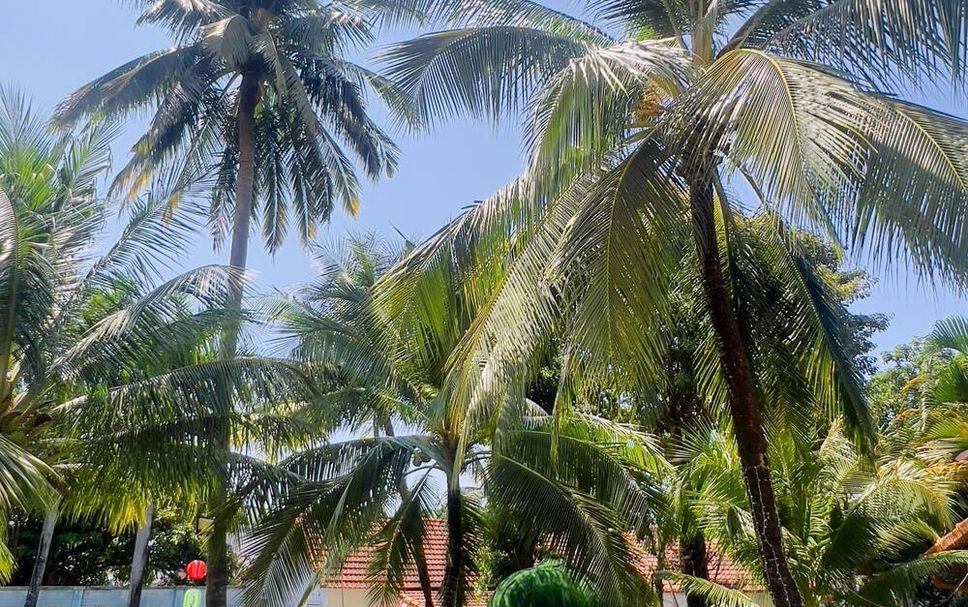 Pemandangan luar Gambar