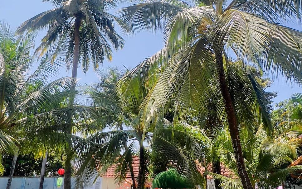 Pemandangan luar Gambar