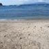 Pantai