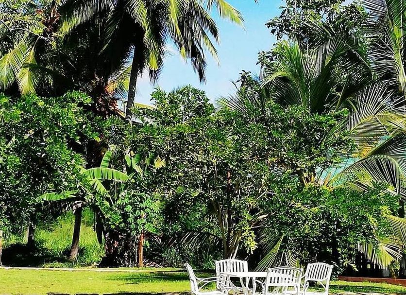 Patio Gambar