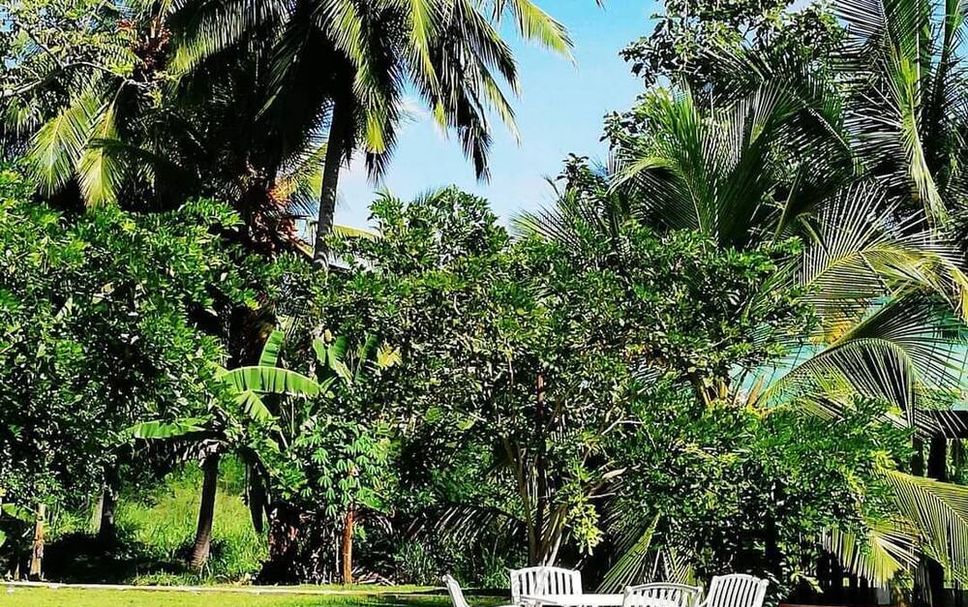 Patio Gambar