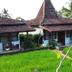Pemandangan luar