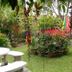 Pemandangan luar