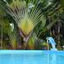 Kolam renang