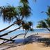 Pantai