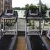 Gim