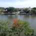 Pemandangan luar