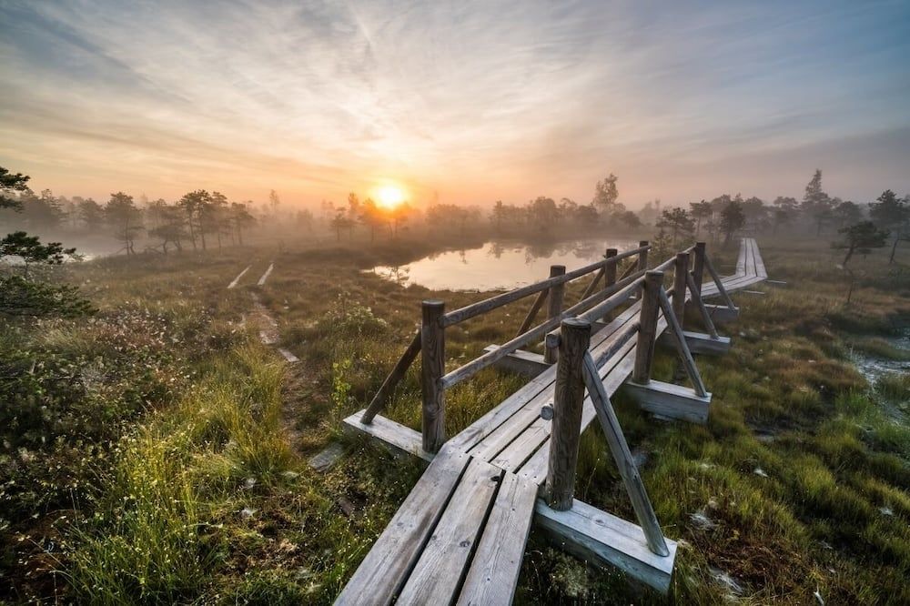 Pemandangan luar