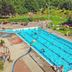 Kolam renang