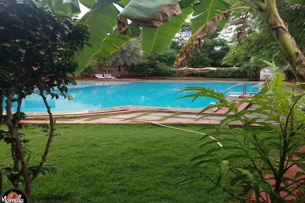 Kolam renang