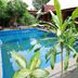 Kolam renang