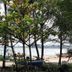 Pemandangan luar