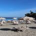 Pantai